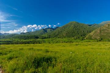 Altai Mountain in summer