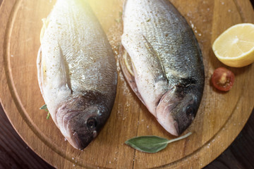 Fresh uncooked dorado