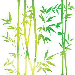Fototapeta na wymiar Decorative bamboo branches. Bamboo forest background. Seamless background.