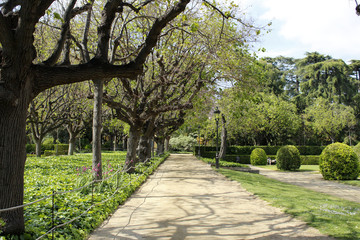 парк Барселоны