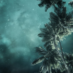 tropical background - 114375140