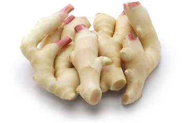 fresh young ginger roots, ingredient of japanese sushi ginger isolated on white background