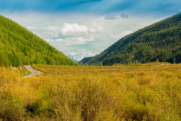Fototapeta premium Altai Mountain in summer