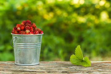 wild strawberry in a bucket on a background of green