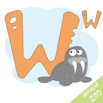 Hand drawn letter W and funny cute walrus. Children's alphabet in cartoon style, vector illustration.