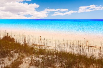Destin beach in florida ar Henderson State Park