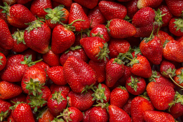 strawberry box close up