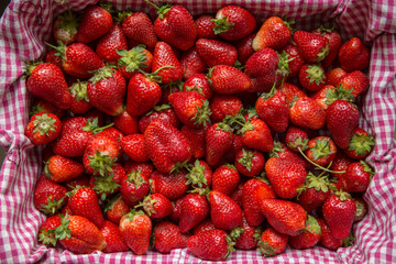 strawberry box close up