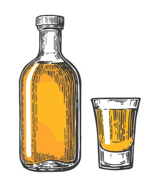 Glass and botlle of tequila. Vector illustration