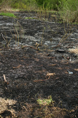 Consequencies of the fire