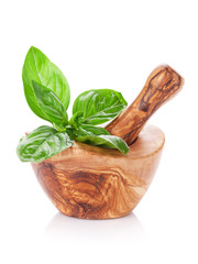 Garden basil in mortar