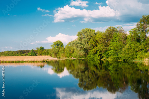 WoodsinWater WoodsinWater