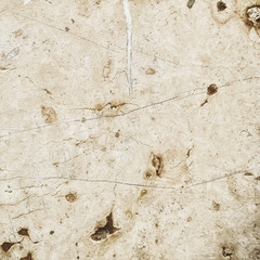 stone background (285)