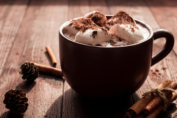 Hot chocolate in a mug, marshmallows, cinnamon sticks and fir cones, close-up