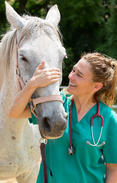 Veterinary on a farm