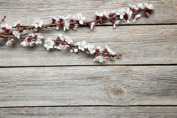 Tree branches with flowers on grey wooden table