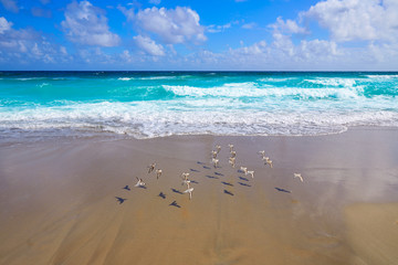 Palm Beach beach coastline Florida US
