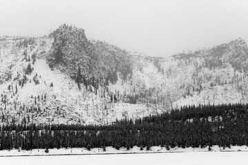 Yellowstone Winter Snowing