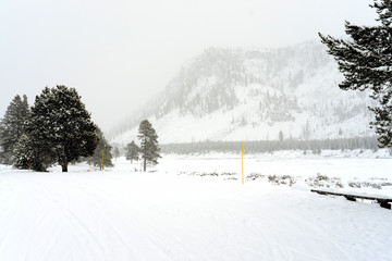 Yellowstone Winter Road Snowing