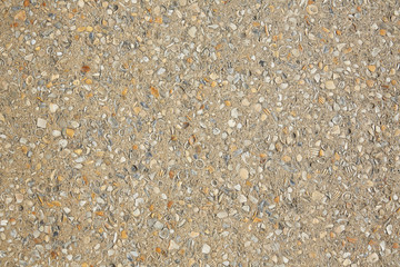 Palm Beach shells concrete soil in Florida