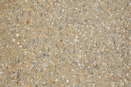 Palm Beach shells concrete soil in Florida