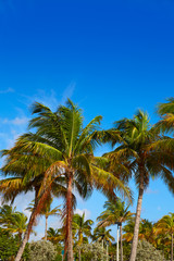 Fototapeta na wymiar Singer Island beach at Palm Beach Florida US