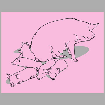 Pig and piglets (pink)