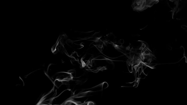 Footage white smoke on black background. HD video. 120fps