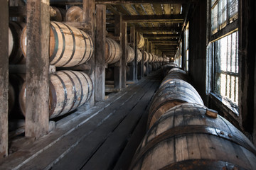 Oak Barrels