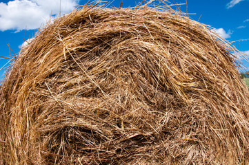 Closeup of a haystack on blue sky