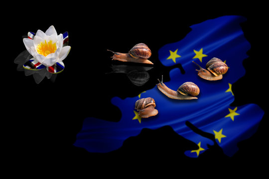 An abstract concept of brexit with a moving snail and national flags on black background with reflections