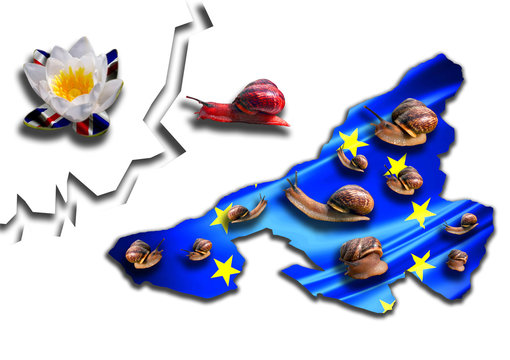 An abstract concept of brexit with moving snails and national flags on white background