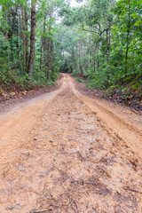 Fototapeta na wymiar Tire tracks on a muddy road in the countryside.
