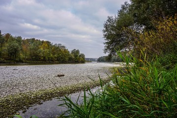 An der Isar München Grünwald