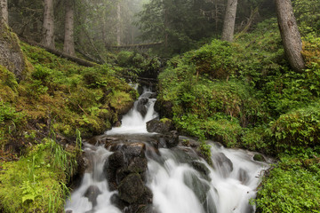 Waterfalls in the forests of Tyrol, Austria