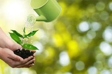 Watering Can. © BillionPhotos.com