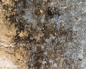 white concrete wall texture