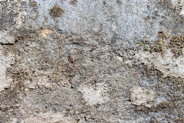 white concrete wall texture