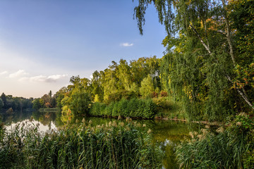 Autumn park. Trostianets, Ukraine.