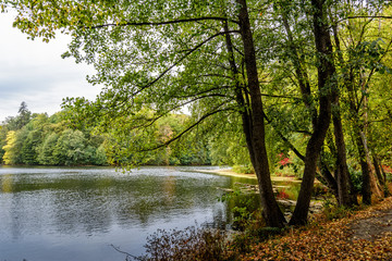 Fototapeta na wymiar Autumn park. Trostianets, Ukraine.