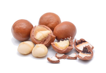 macadamia isolate on white background