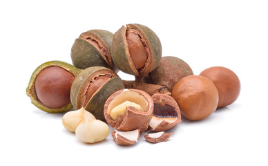 macadamia nuts isolate on white