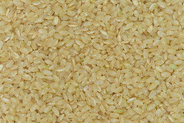 Japan brown rice background, Grains organic background