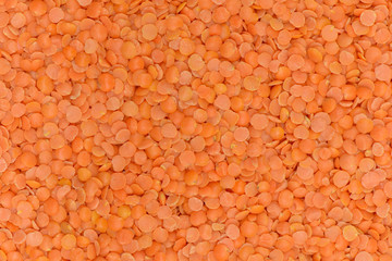 Orange lentile background, Prepared lentile