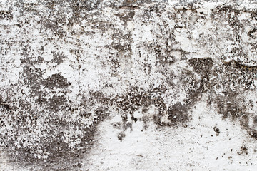 white concrete wall texture