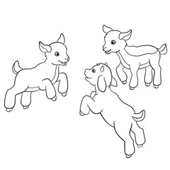 Coloring pages. Farm animals. Little cute doatlings.