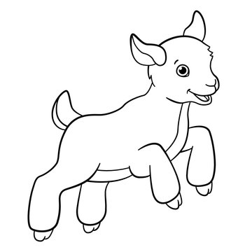 Coloring pages. Farm animals. Little cute goatling jumps.