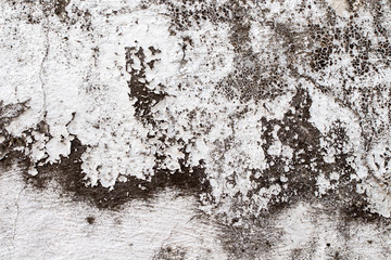 white concrete wall texture