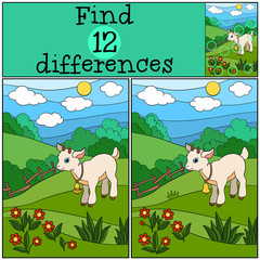 Children games: Find differences. Little cute baby goat.