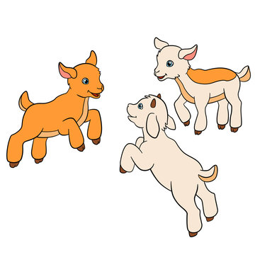 Cartoon farm animals for kids. Three baby goats.